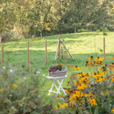 Appartement Sophie *