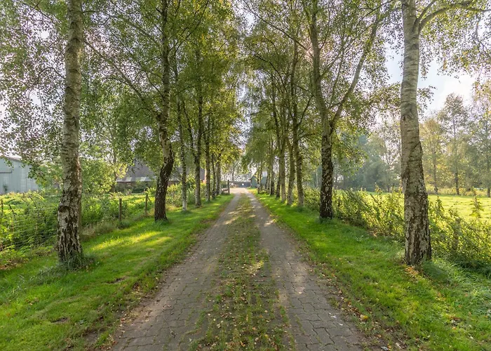 Sophie Appartement Witzwort